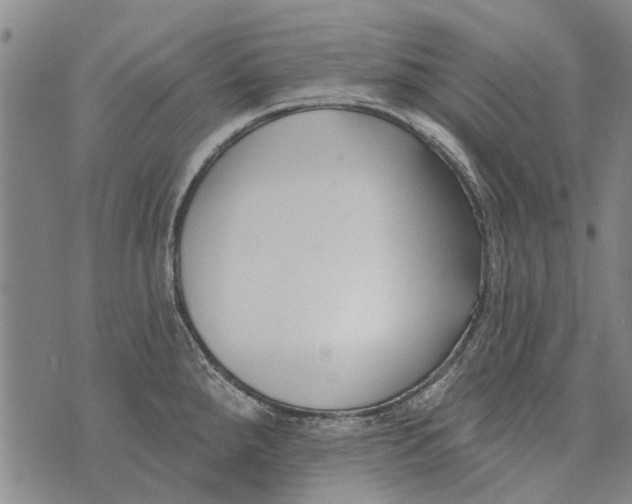 X0000073711288200608311745