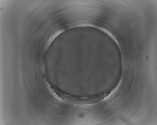 X0000073711289200608311745