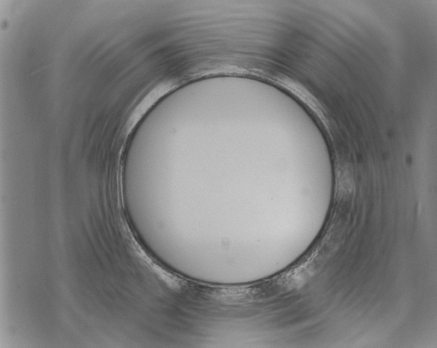 X0000073711290200608311745