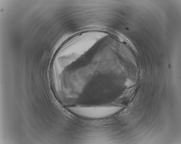 X0000073711291200608311745