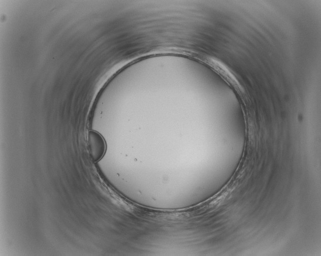 X0000073711292200608311745