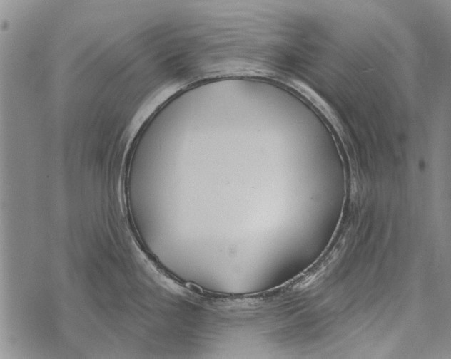 X0000073711293200608311745