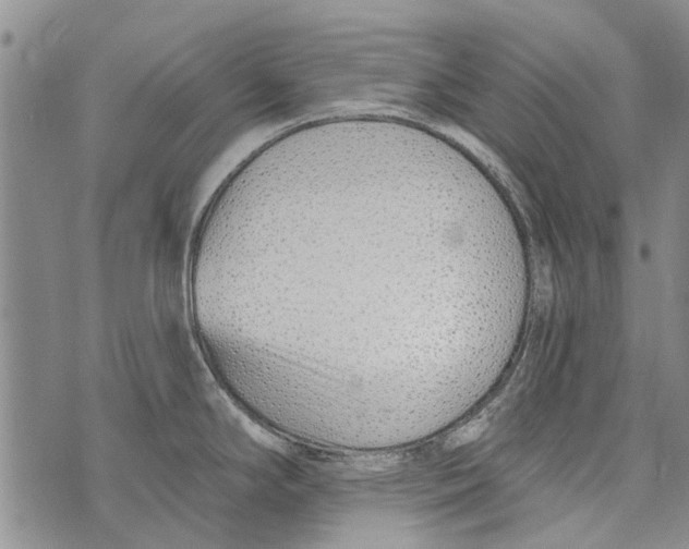 X0000073711294200608311745