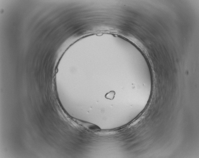 X0000073711296200608311745