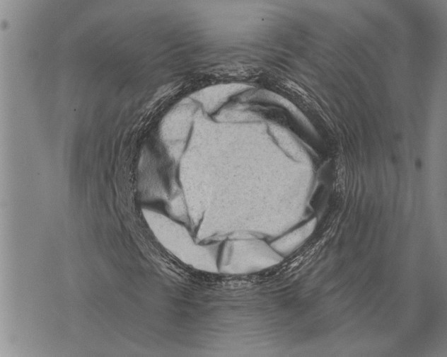 X0000073711297200608311744