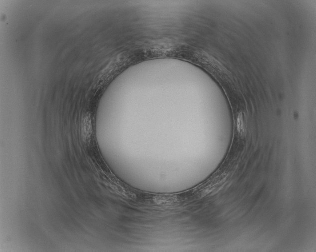 X0000073711299200608311744