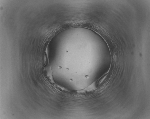 X0000073711300200608311744