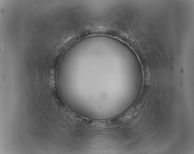 X0000073711301200608311744