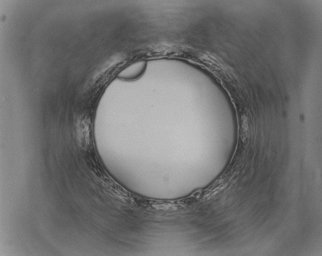 X0000073711302200608311744