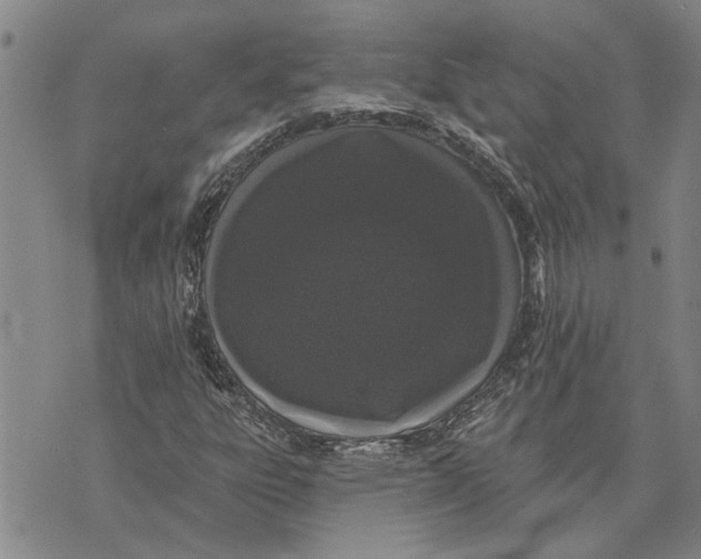 X0000073711303200608311744