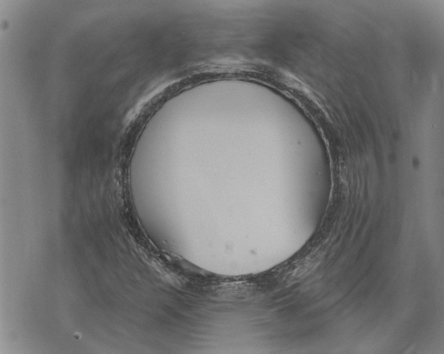 X0000073711304200608311744