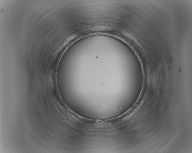 X0000073711305200608311744