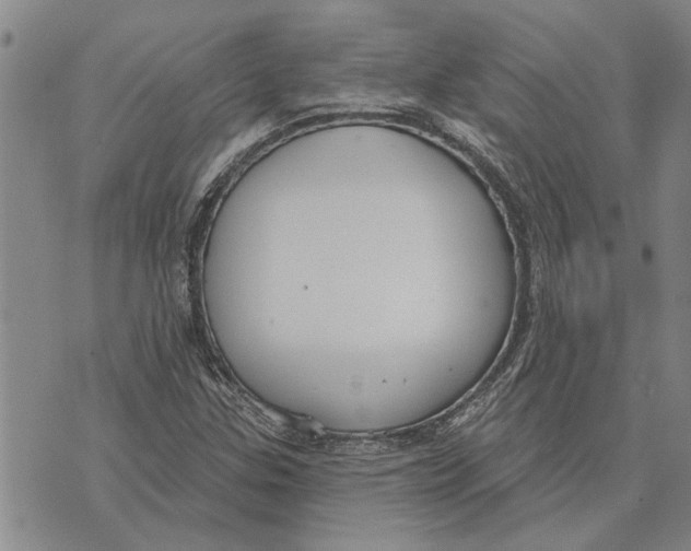 X0000073711307200608311744