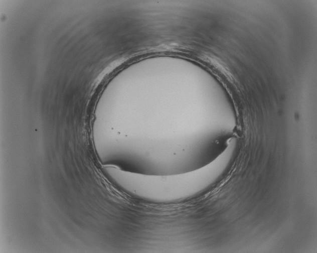 X0000073711308200608311744