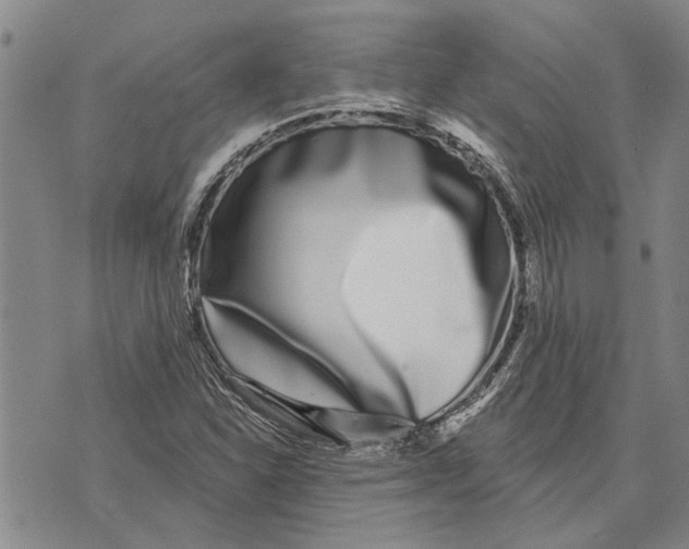 X0000073711310200608311745