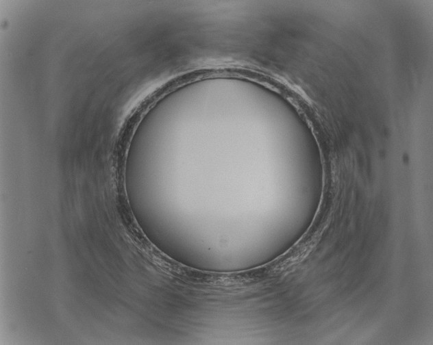 X0000073711311200608311745