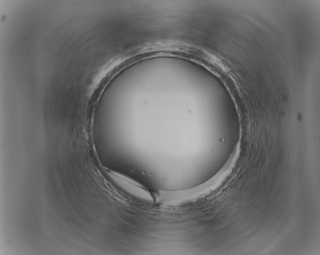 X0000073711312200608311745