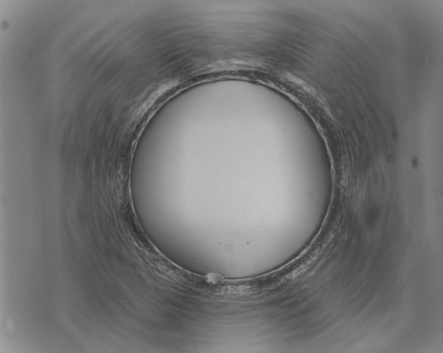 X0000073711313200608311745