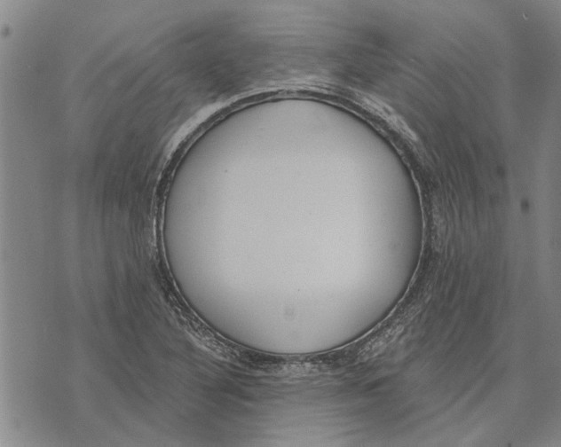 X0000073711316200608311745