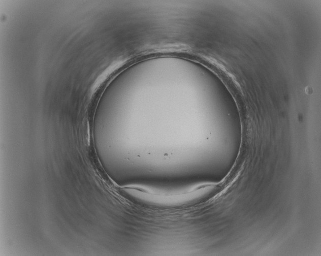 X0000073711317200608311745