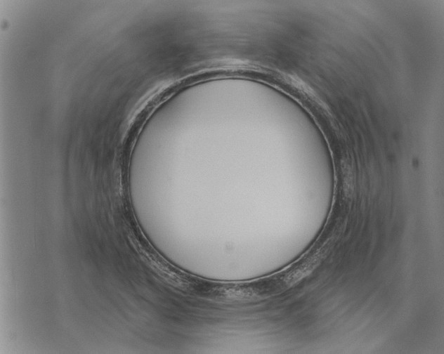 X0000073711318200608311745