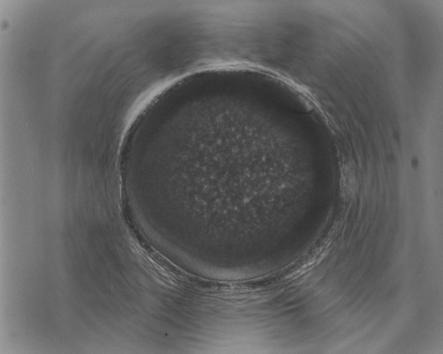 X0000073711319200608311745