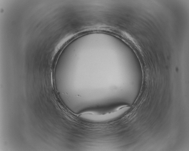 X0000073711320200608311745