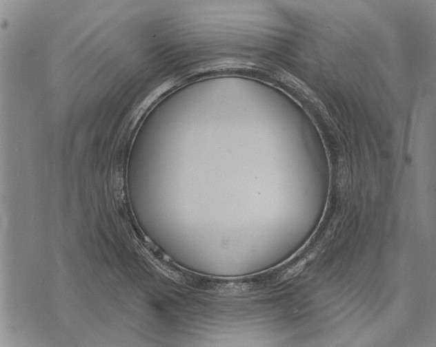 X0000073711321200608311745