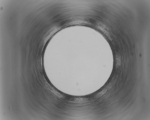 X0000073711322200608311745