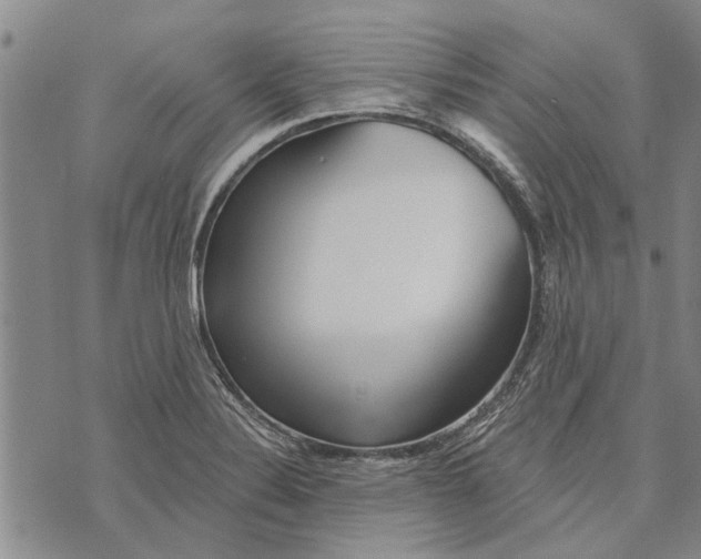 X0000073711324200608311745