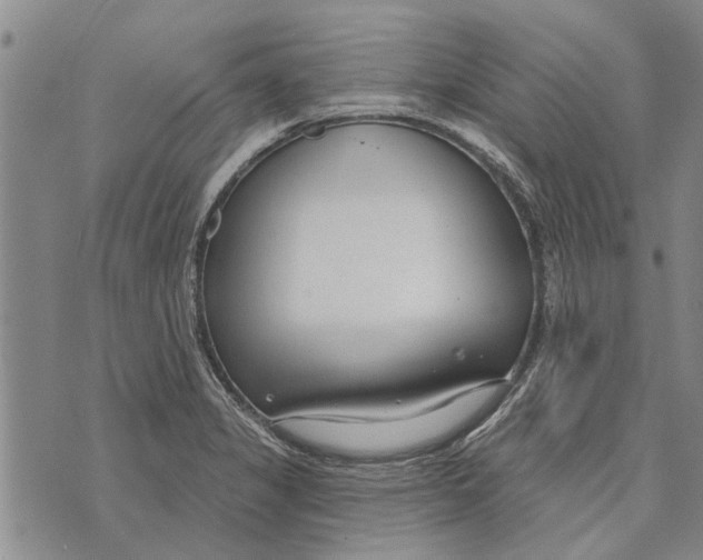 X0000073711325200608311745