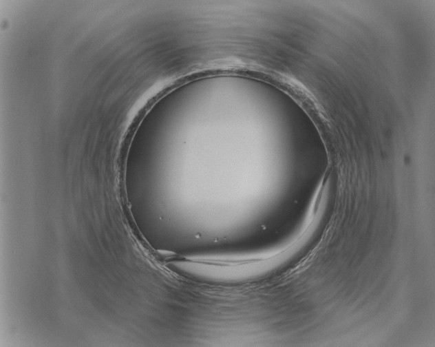 X0000073711326200608311745