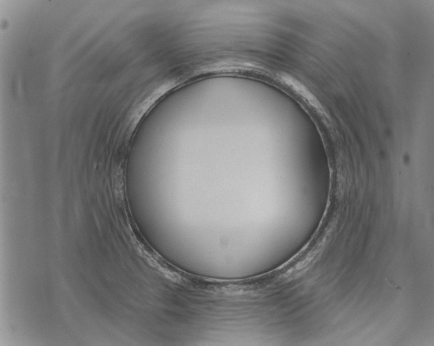 X0000073711329200608311745