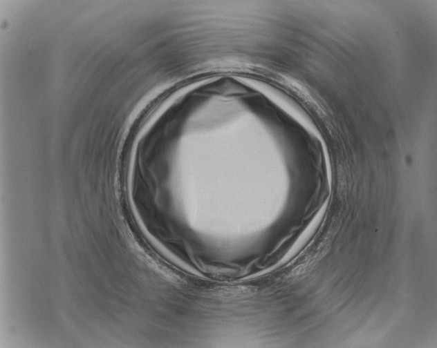 X0000073711331200608311745