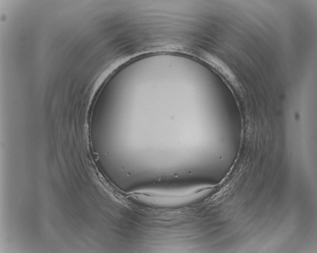 X0000073711332200608311745