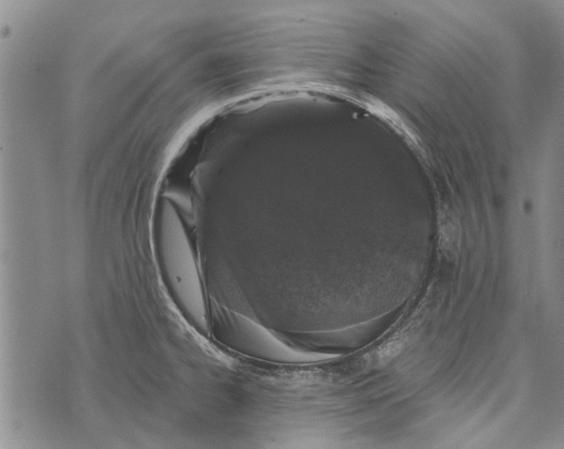 X0000073711334200608311745