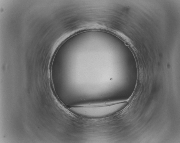 X0000073711335200608311745