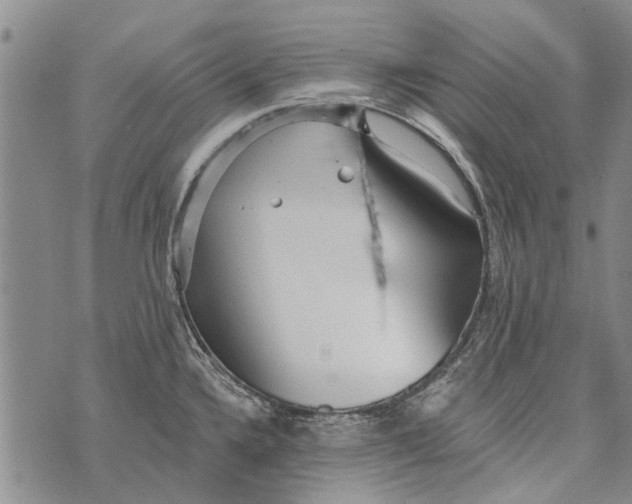 X0000073711336200608311745