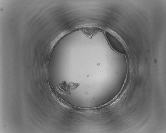 X0000073711337200608311745