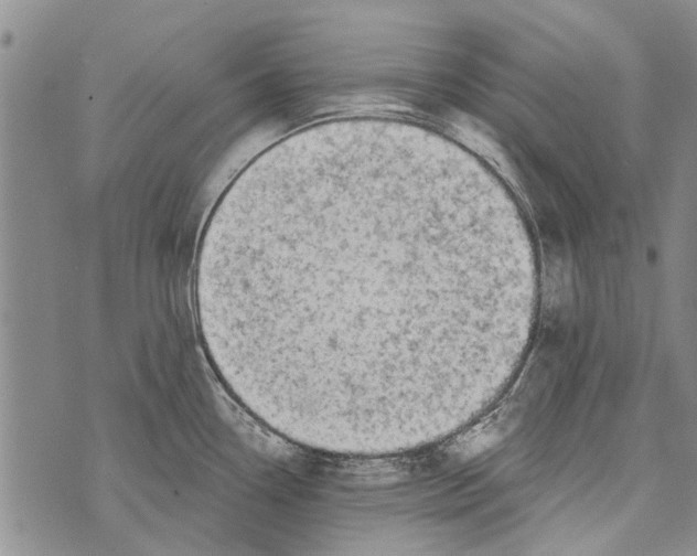 X0000073711338200608311745