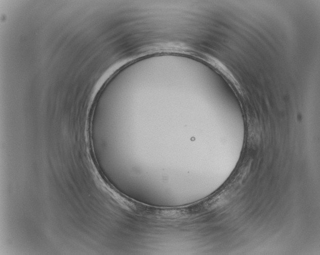 X0000073711339200608311745