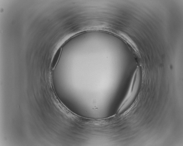 X0000073711340200608311745