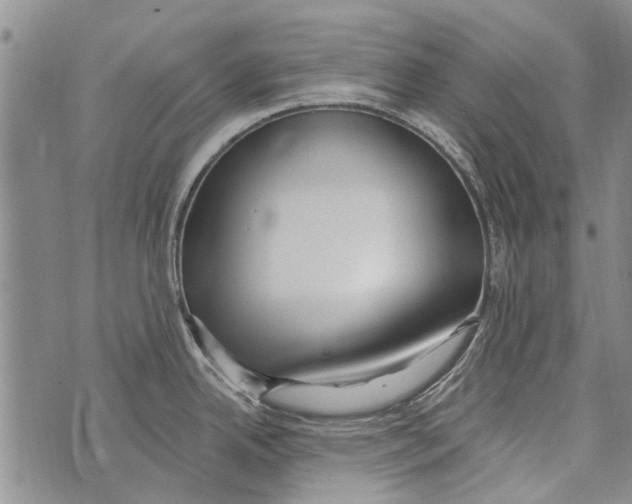 X0000073711342200608311745