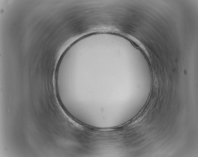 X0000073711343200608311745