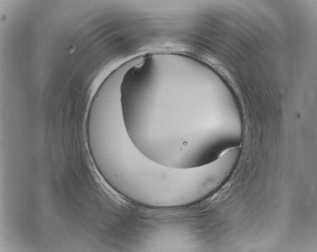 X0000073711344200608311745