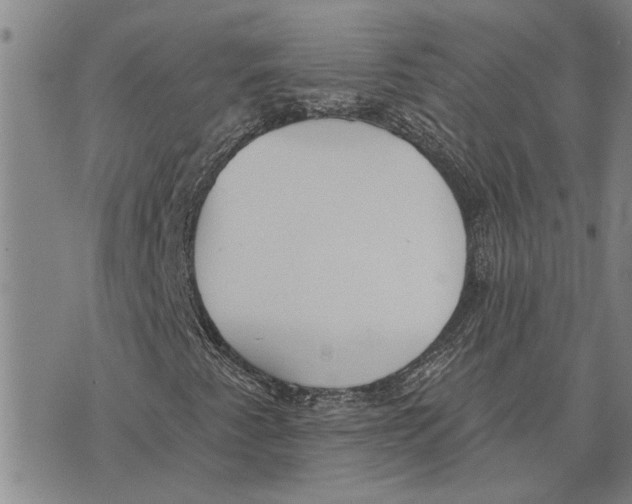 X0000073711345200608311744