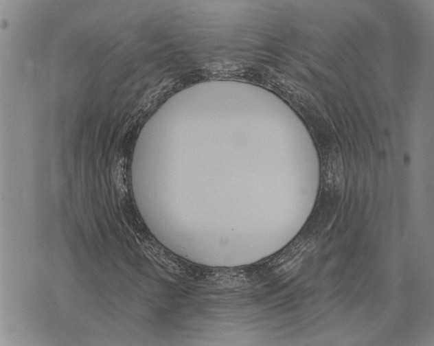 X0000073711346200608311744