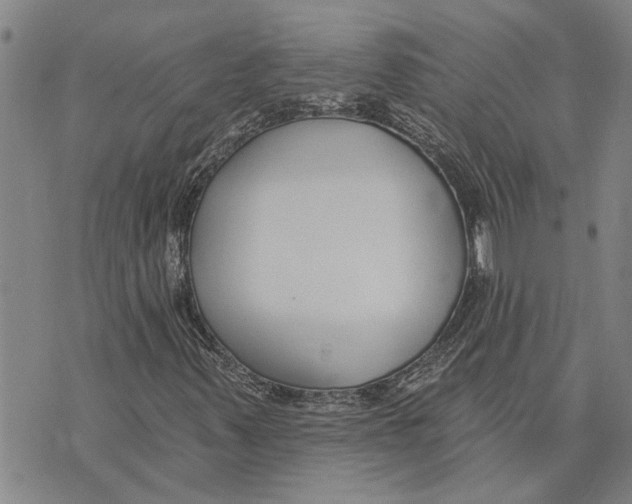 X0000073711347200608311744