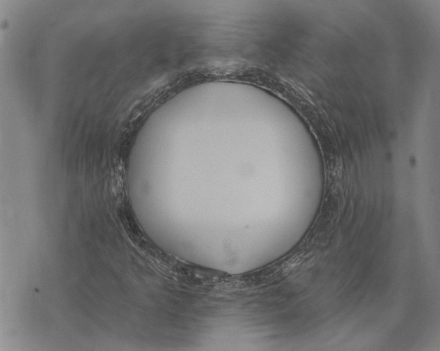 X0000073711349200608311744