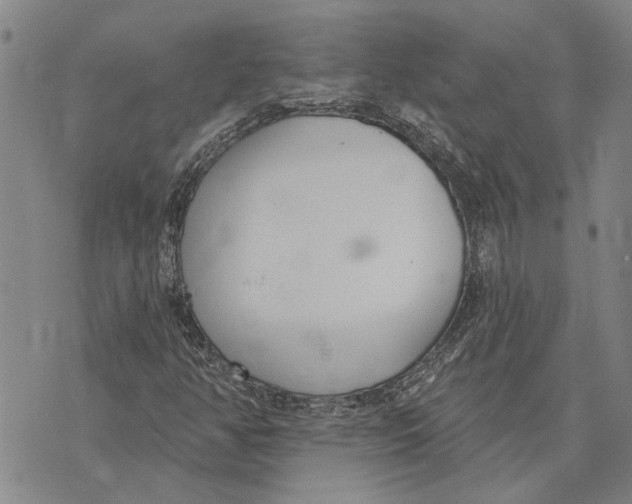 X0000073711350200608311744